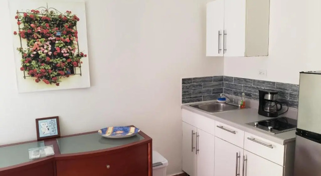 Двухместный полулюкс Andalucia Guest House