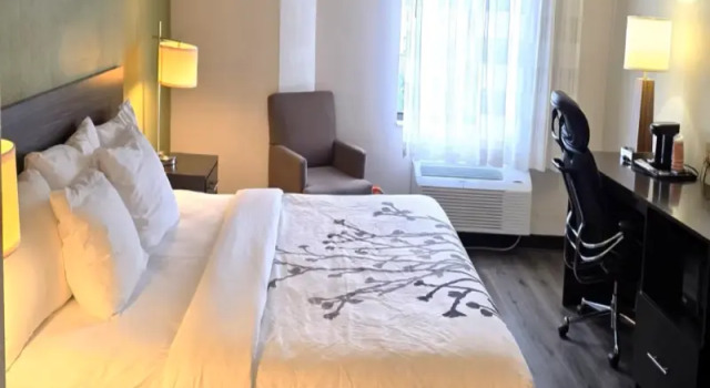 Люкс c 1 комнатой Tolani Hotel