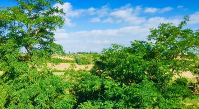 Номер Standard Torre Rasa Agriturismo