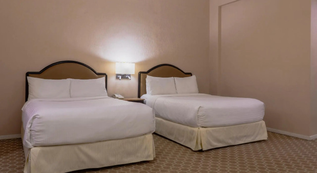 Двухместный номер Superior Gamma de Fiesta Americana Monterrey Gran Hotel Ancira