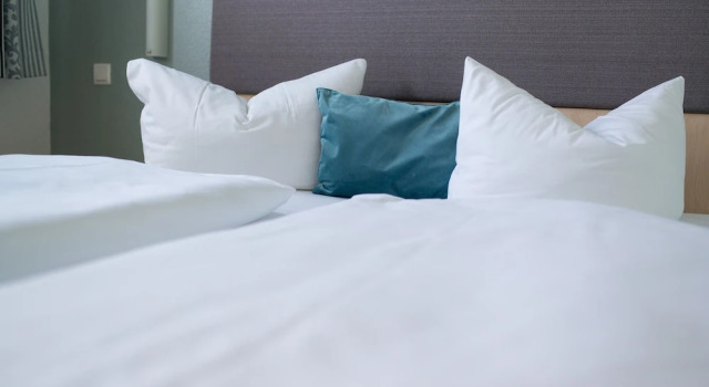 Rosen-Hotel, Buchen Sie Hotel Sangerhausen 