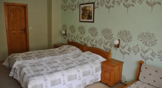 Номер Standard Family Hotel Shoky