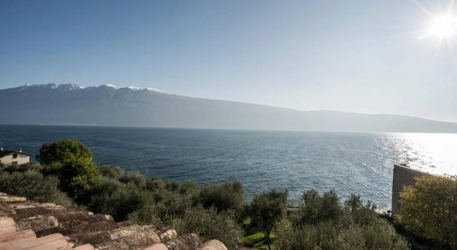 Uliveto - Apartment in olive grove directly on the lake, Забронировать Апартаменты/квартира Гарньяно озеро Гарда