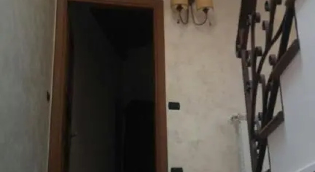 Le Viole d'Oro