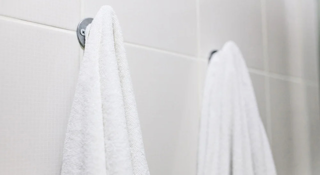Четырёхместный номер Standard Allyndale Motel