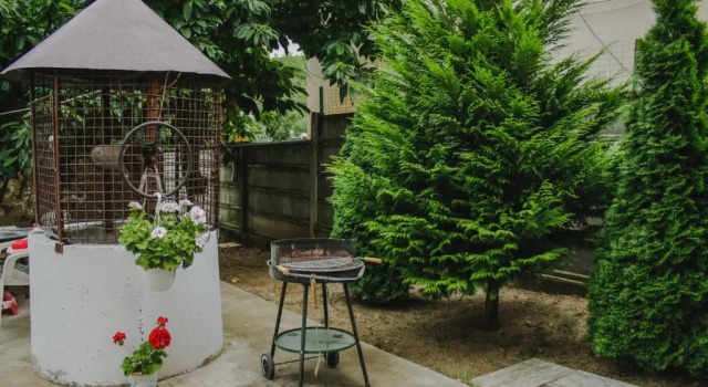 Camera Standard Courtyard Studio