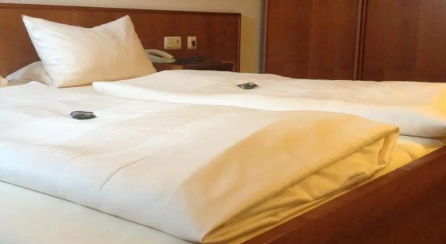 Двухместный номер Standard Hotel am Bergl