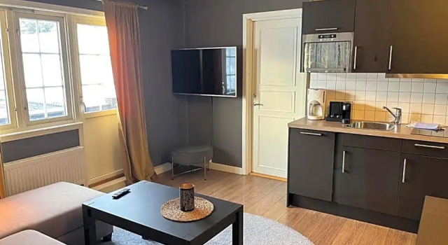 Appartamento Trysil-Knut Hotel