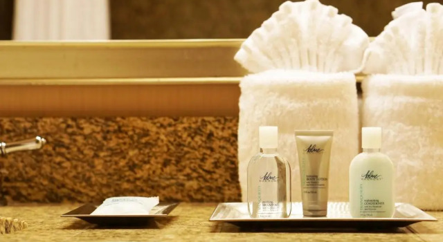 Двухместный номер Wyndham Chicago OHare