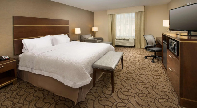 Двухместный номер Accessible Hampton Inn & Suites San Antonio-Downtown/Market Square
