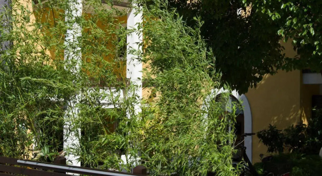 Hotel Santoni Freelosophy