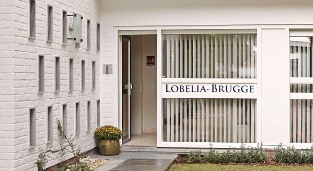 BB Lobelia