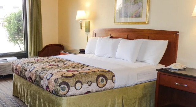 Regency Hotel & Conference Center, Varaa Hotelli Hotellit New England uima-altaalla, Uima-allas