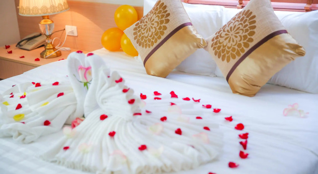 Двухместный номер Deluxe Long Anh Hotel