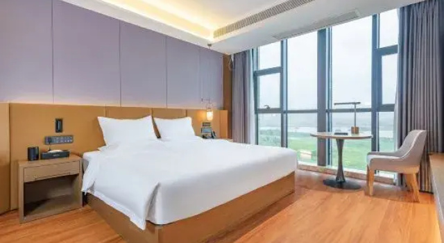 Люкс Hongzhen Hotel（Xixi Branch）