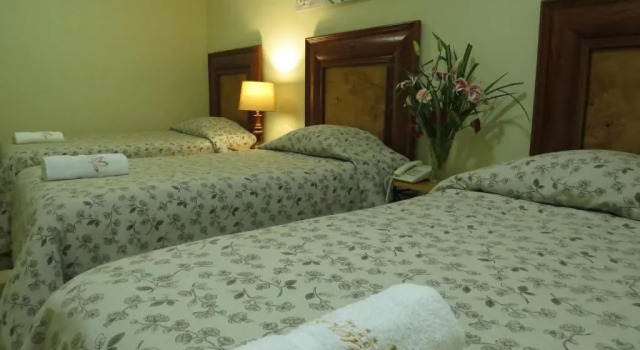 Трёхместный номер Superior Hotel Las Flores