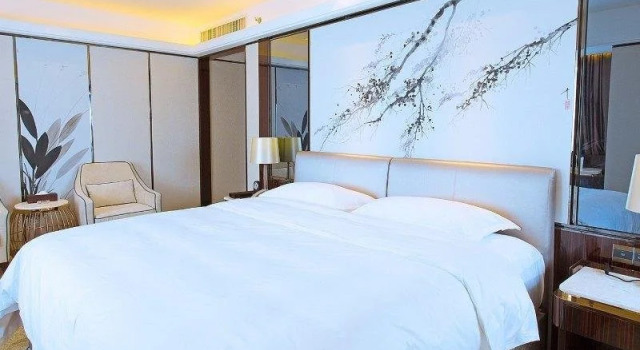 Presidential Elegant Healthcare Hotel, Buchen Sie Hotel Qingxiu Nanning