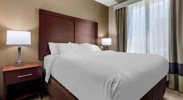 Двухместный люкс Comfort Suites Plano - Dallas North