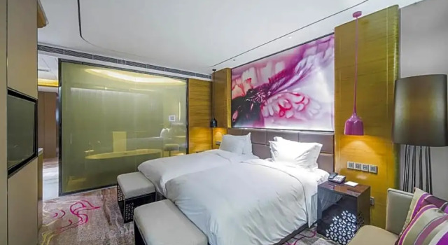 Номер Superior с видом на город Sofitel Nanjing Galaxy Suning