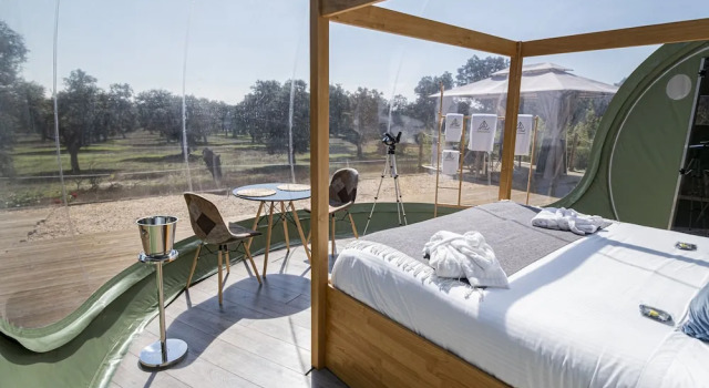 Номер Standard El Toril Glamping Experience