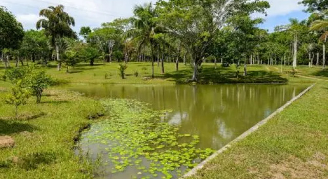 Hotel da Reserva Natural Vale, Забронировать Отель Sooretama Эспириту-Санту