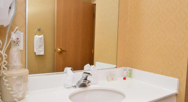 Двухместный люкс Deluxe Best Western Manchester