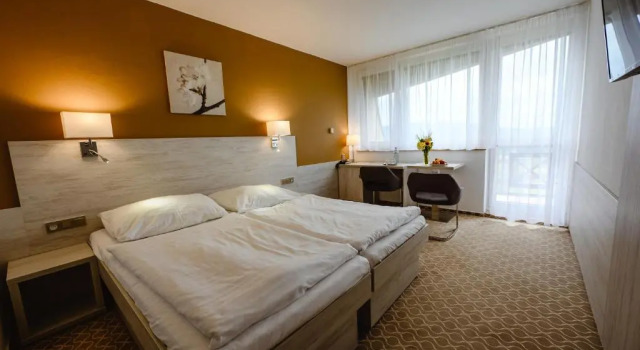 Двухместный номер Standard Hotel Vega Luhacovice