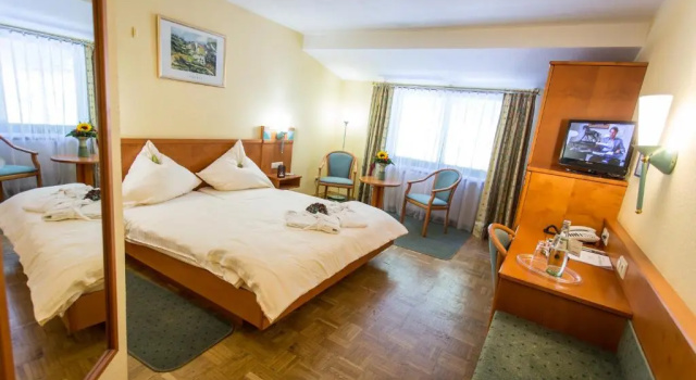 Номер Superior Waldhotel Felschbachhof