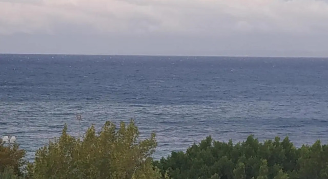 Студия Studio Gio in Zakynthos City