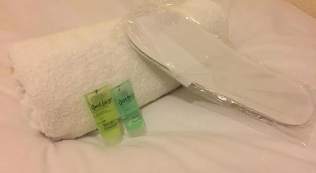 Номер Economy Lady Hamilton Inn
