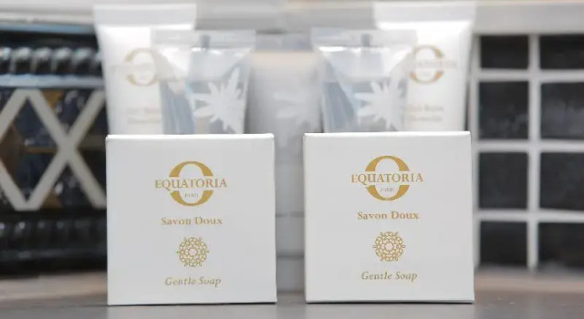 Семейный номер Standard с видом на озеро Logis Hôtel & Spa Marina dAdelphia