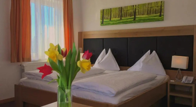Номер Economy Berghof Dachsteinblick