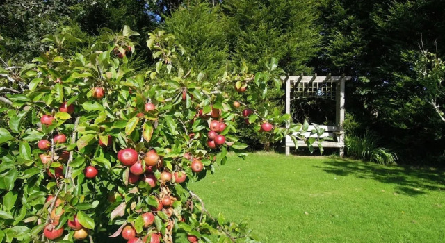 Коттедж The Cider Barn in Saint Austell