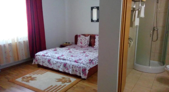 Двухместный номер Standard Pensiunea Vladut Timisoara