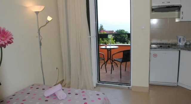 Студия с балконом и с красивым видом из окна Apartments Ivan