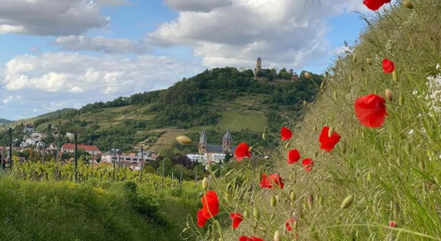 Acapella Suite Barcarolle 60qm, direkt am Weinberg, Altstadt, Netflix inklusive, Reserva ahora Hotel Hoteles en Baden-Wurtemberg con aparcamiento, Aparcamiento