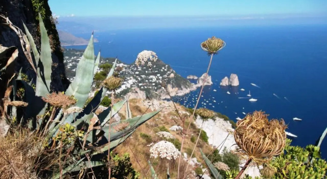 Lejlighed Tra Montagne e Mare