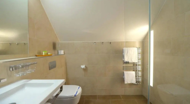 Одноместный номер Standard с видом на озеро Hotel Waldhaus am See