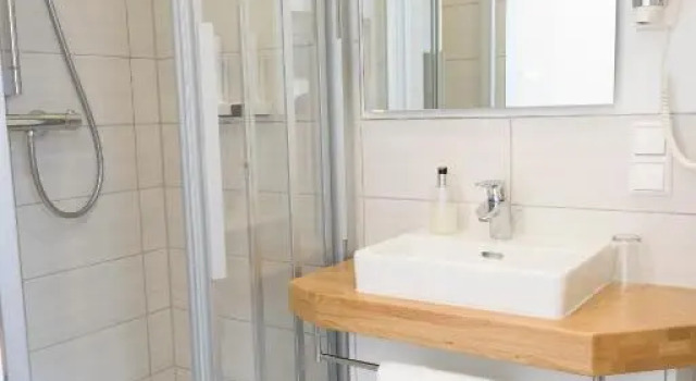 Номер Standard Hotel Garni Viktoria
