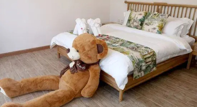 Luxury familie suite 2 camere A Tree Hostel