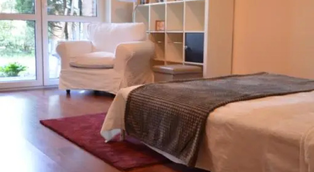 Люкс Apartament przy Koniu Trojańskim