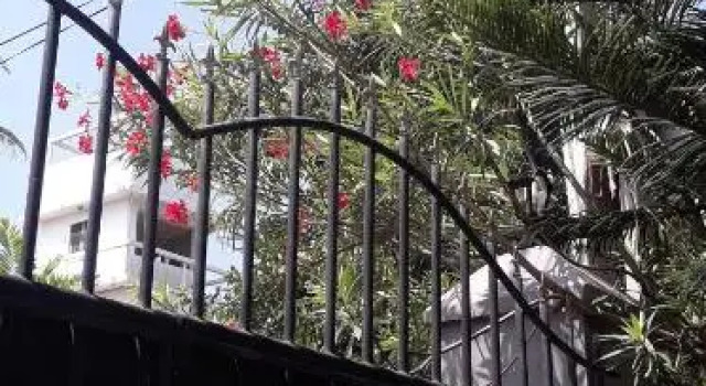 Royal beach villa