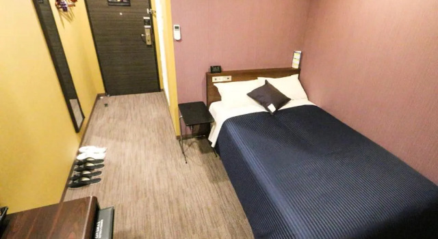 Двухместный номер Standard HOTEL LiVEMAX Mikawaanjo Ekimae