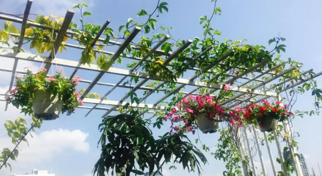 Двухместный номер Standard Chez Mimosa
