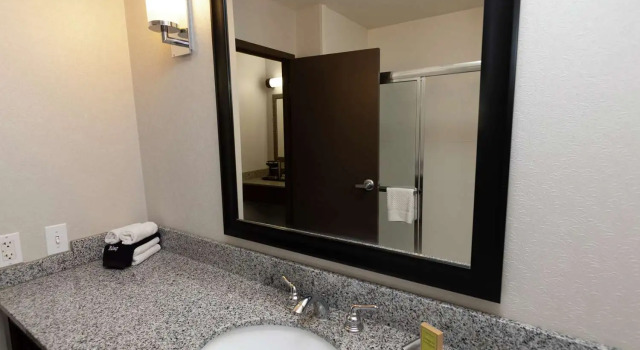 Двухместный номер Business President Abraham Lincoln - A Doubletree by Hilton Hotel