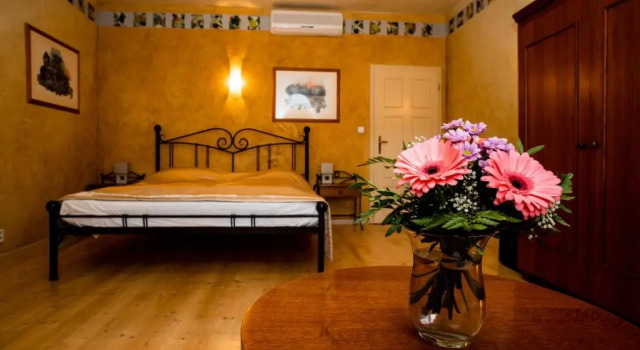 Номер Standard Boutique Hotel Templ