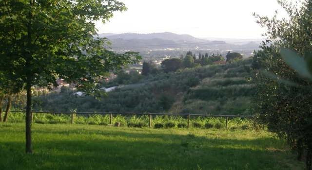 Студия Цокольный этаж Agriturismo Poggiopiano