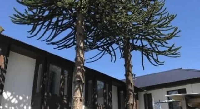 Hotel Aysen Austral, Reserva ahora Hotel Puerto Aysen Aysen