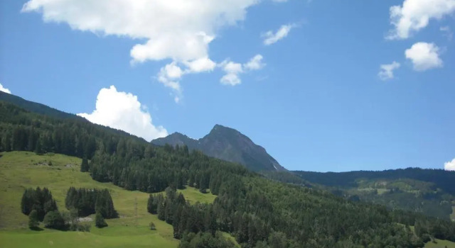 Апартаменты Landhaus & Appartementhaus Haussteiner