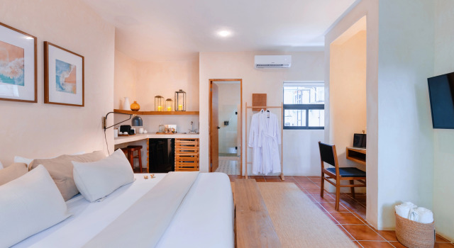 Одноместный номер Deluxe Malish Hotel & Spa Luxury Edition